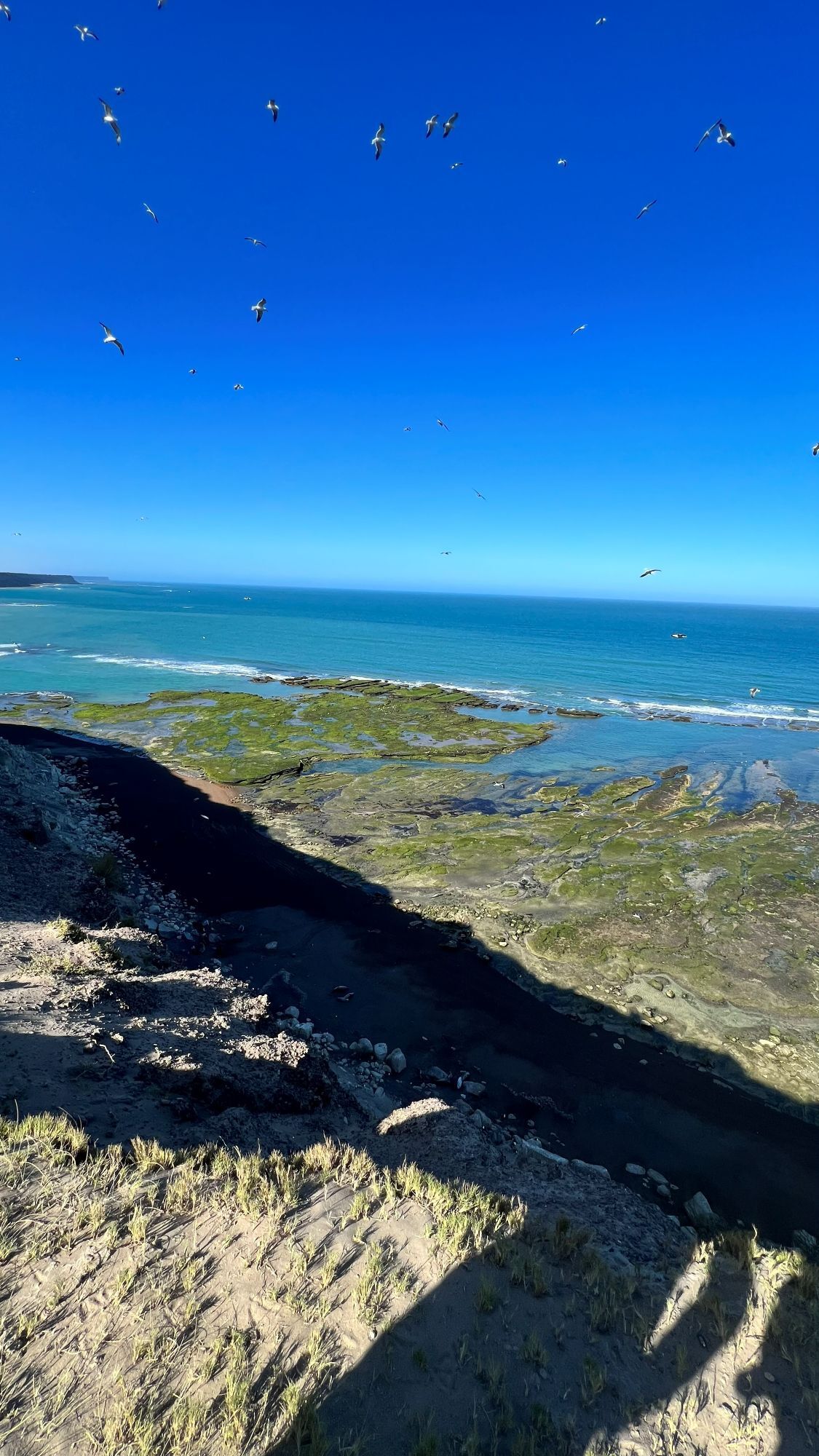 Atlántico patagónico