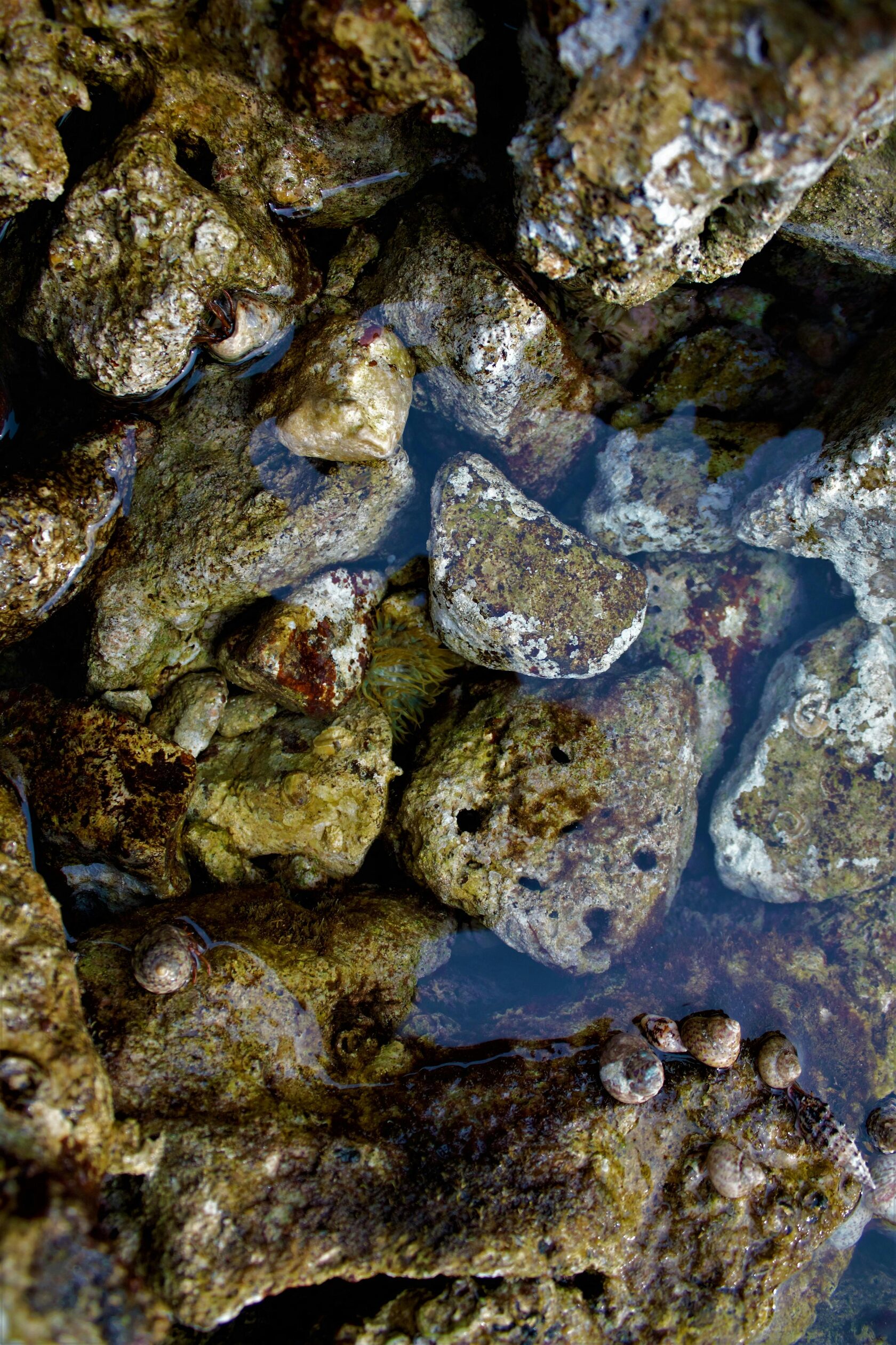 Acantilados